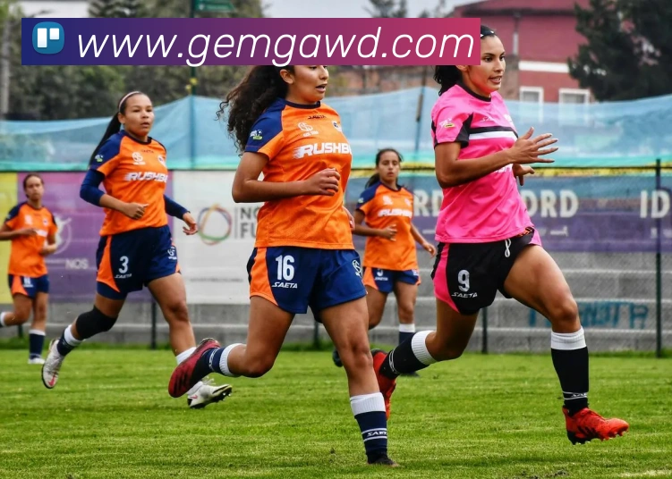 问鼎官网入口发展历程